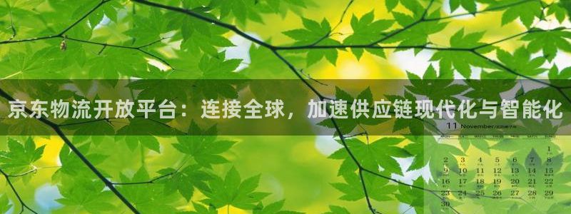 ,优游国际是正规软件吗：京东物流开放平台：连接全球，加速供应