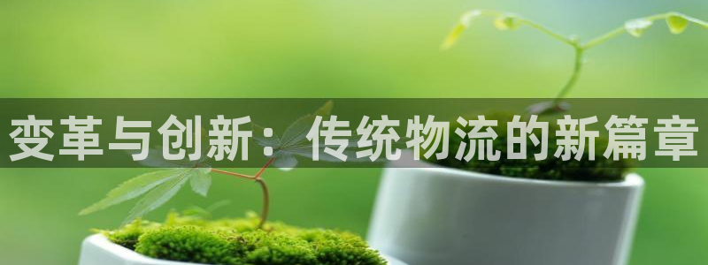 优游国际官网入口：变革与创新：传统物