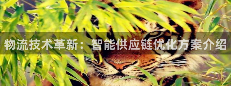 ,优游国际稳吗：物流技术革新：智能供