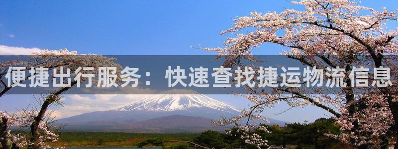 优游国际官网下载：便捷出行服务：快速查找捷运物流信息