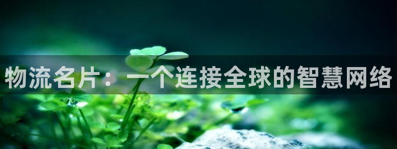 ,优游国际ccm官网版：物流名片：一