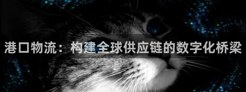 ,优游国际注册平台：港口物流：构建全