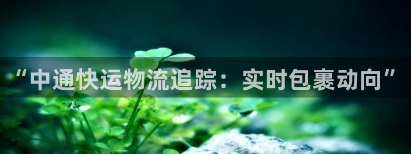 ,优游国际怎么注册：“中通快运物流追