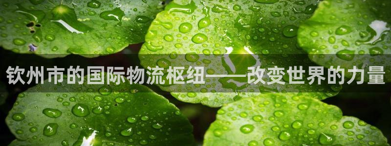 ,优游国际辅助：钦州市的国际物流枢纽