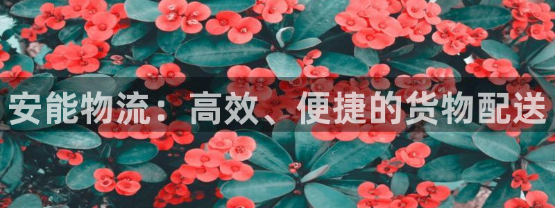 ,优游国际免费：安能物流：高效、便捷