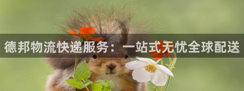 南宫,优游国际怎么注册：德邦物流快递服务：一站式无忧全球配送
