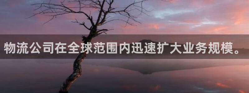 ,优游国际官网多少