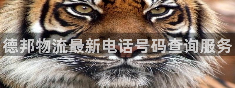,优游国际正规吗：德邦物流最新电话号