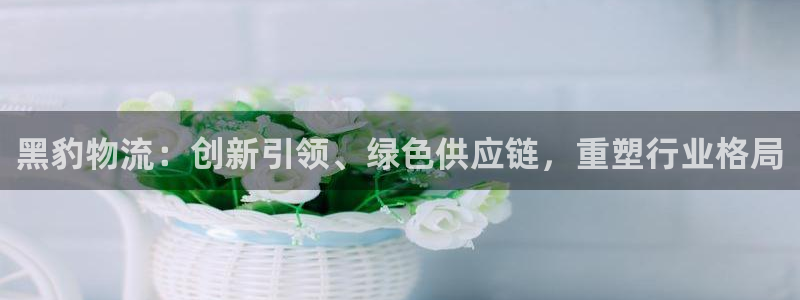 ,优游国际分分压单双技巧：黑豹物流：