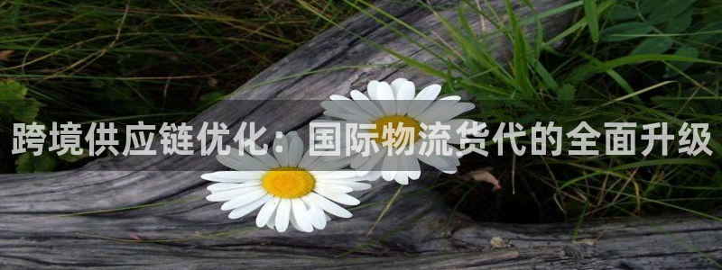 ,优游国际能不能退