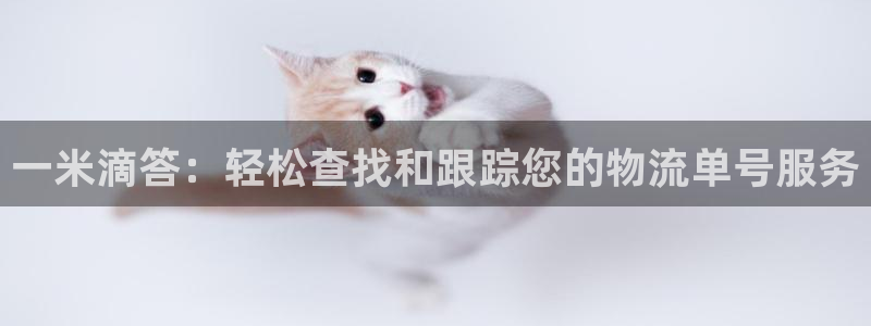 ,优游国际头像：一米滴答：轻松查找和