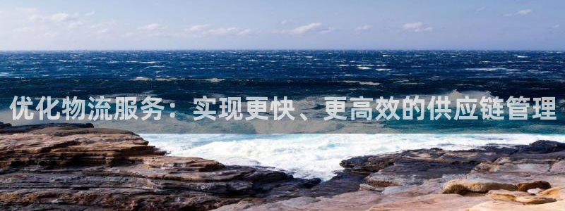 优游国际官网入口pc正版：优化物流服