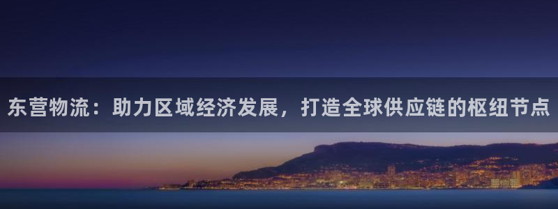 自行车,优游国际是什么意思：东营物流