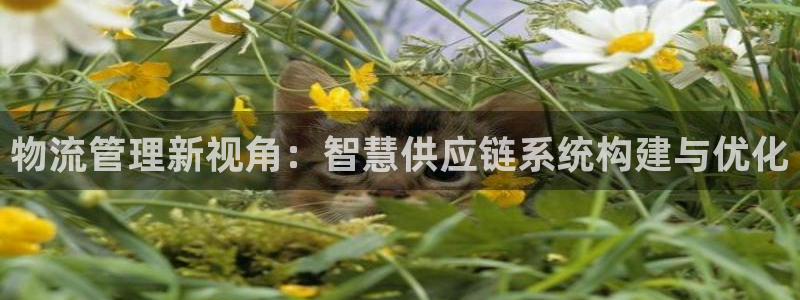 ,优游国际推广链接是多少个：物流管理