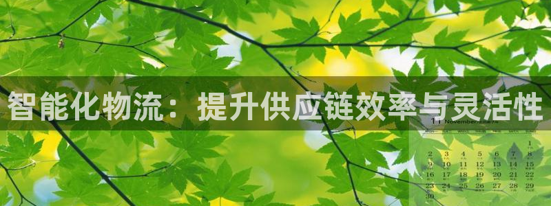 ,优游国际加拿大走势：智能化物流：提升供应链效率与灵活性