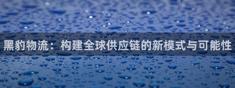 优游国际官网入口app：黑豹物流：构
