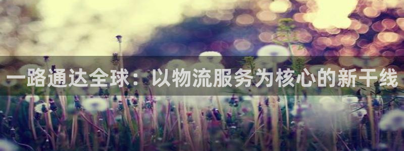 ,优游国际辅助：一路通达全球：以物流