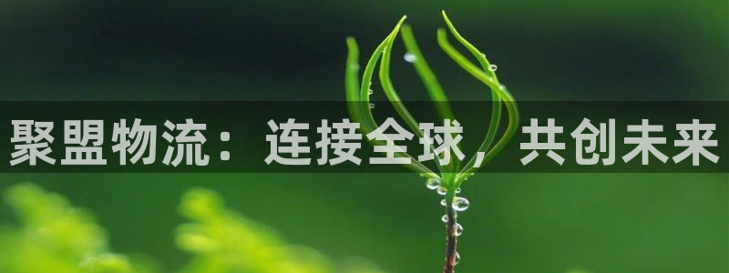 ,优游国际登录用户名登录不上：聚盟物