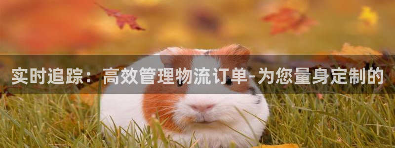 ,优游国际开奖预测：实时追踪：高效管理物流订单-为您量身定制