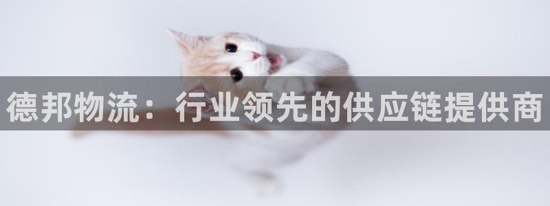 ,优游国际是干嘛的：德邦物流：行业领先的供应链提供商