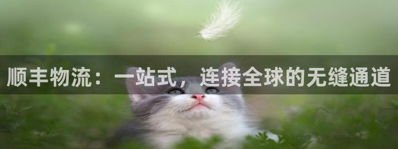 ,优游国际反水什么时候到：顺丰物流：