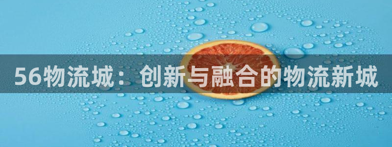 ,优游国际黑款：56物流城：创新与融