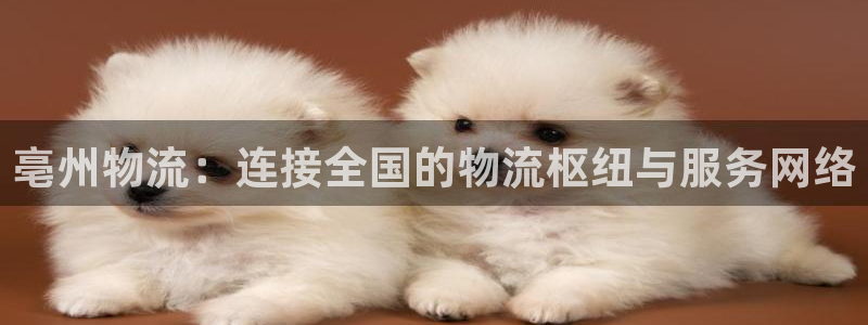 优游国际官网平台：亳州物流：连接全国