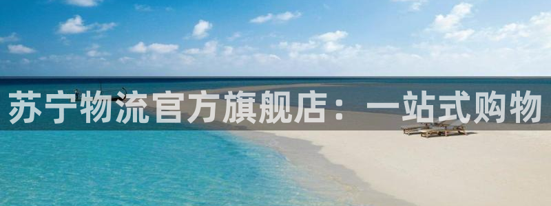 ,优游国际加拿大模拟器：苏宁物流官方