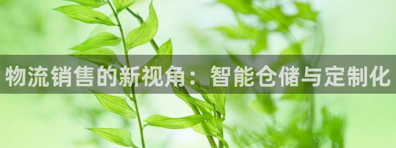 ,优游国际官方版正版：物流销售的新视