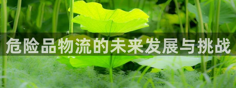,优游国际起来的符号:危险品物流的未