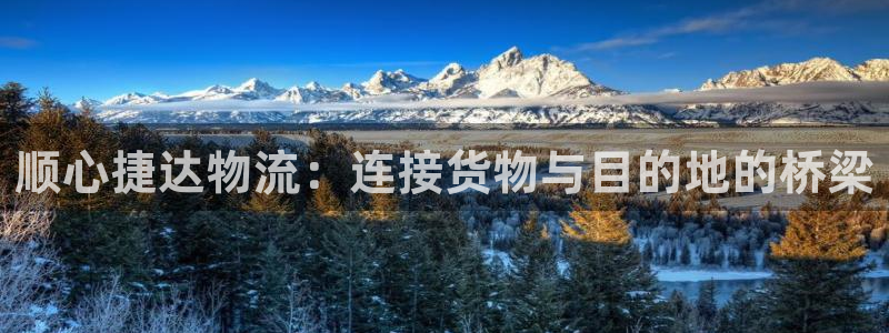 ,优游国际注册限制怎么解除：顺心捷达物流：连接货物与目的地的