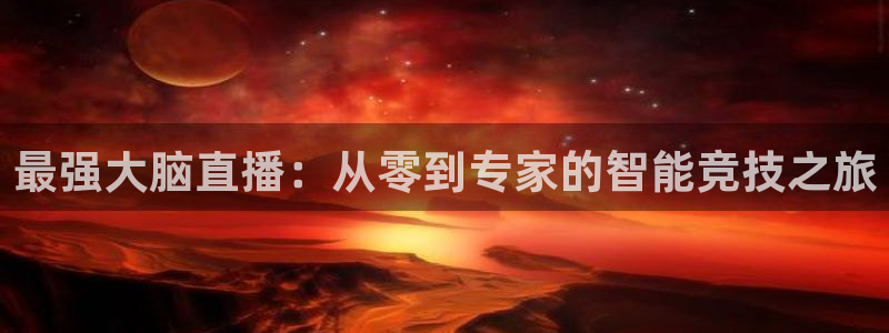 蜘蛛直播体育：最强大脑直播：从零到专家的智能竞技之旅