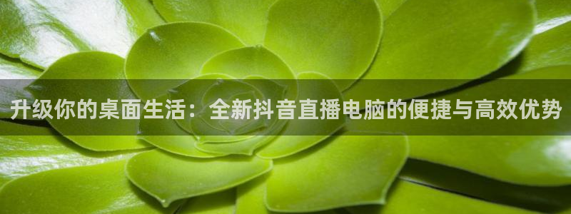 蜘蛛nba直播：升级你的桌面生活：全新抖音直播电脑的便捷与高效优势