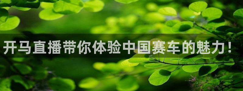 蜘蛛nba免费直播在线观看高清：开马直播带你体验中国赛车的魅力！