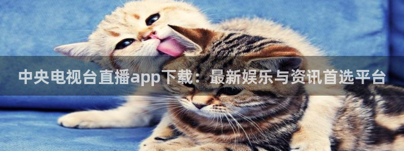 nba直播免费观看直播在线蜘蛛：中央电视台直播app下载：最新娱乐与资讯首选平台