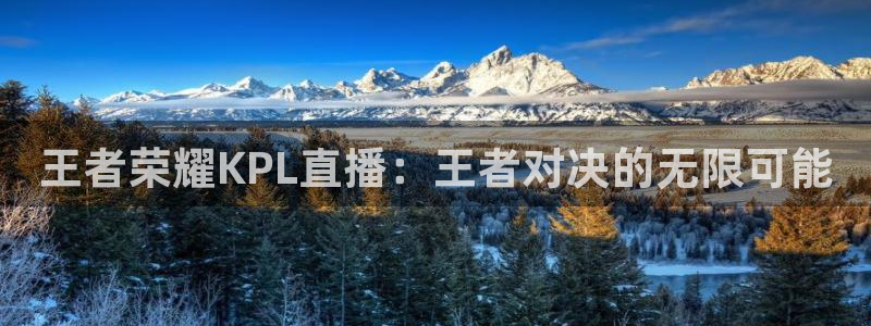 nba直播免费观看直播在线蜘蛛：王者荣耀KPL直播：王者对决的无限可能