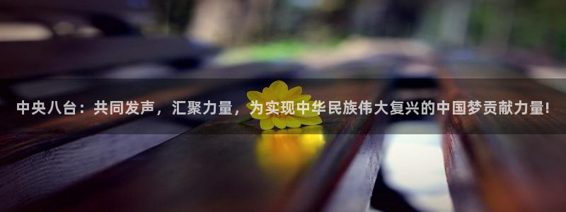 蜘蛛直播nba免费观看篮球：中央八台：共同发声，汇聚力量，为实现中华民族伟大复兴的中国梦贡献力量!