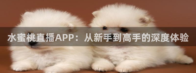蜘蛛体育可可：水蜜桃直播APP：从新手到高手的深度体验