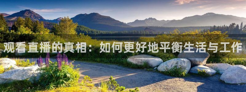 蜘蛛nba免费直播在线观看高清：观看直播的真相：如何更好地平衡生活与工作