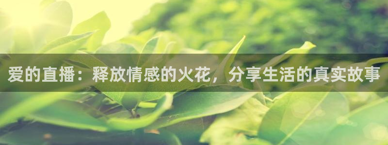蜘蛛直播nba免费：爱的直播：释放情感的火花，分享生活的真实故事