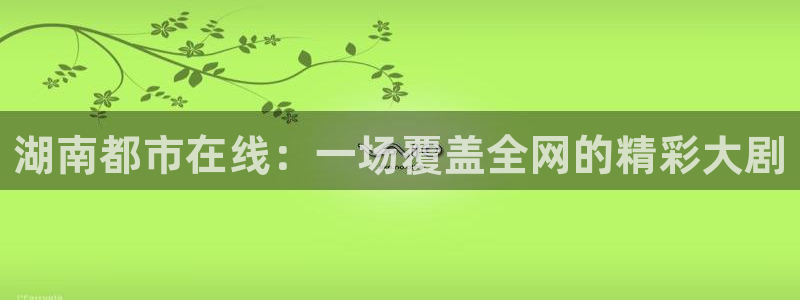 蜘蛛体育可可：湖南都市在线：一场覆盖全网的精彩大剧